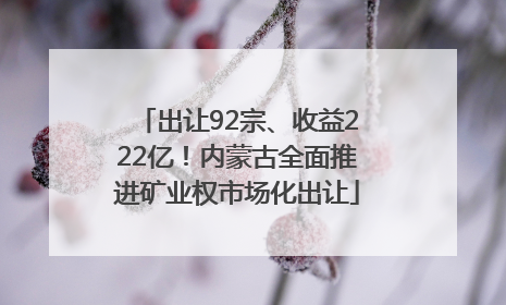 出让92宗、收益222亿！内蒙古全面推进矿业权市场化出让