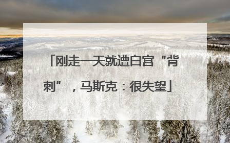 刚走一天就遭白宫“背刺”，马斯克：很失望