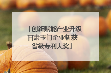 创新赋能产业升级 甘肃玉门企业斩获省级专利大奖