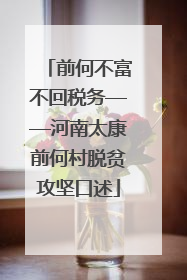 前何不富不回税务——河南太康前何村脱贫攻坚口述