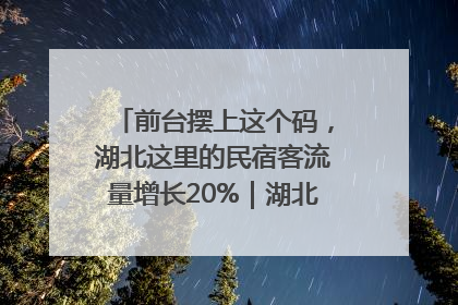 前台摆上这个码，湖北这里的民宿客流量增长20%｜湖北市场监管所的故事