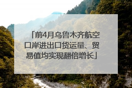 前4月乌鲁木齐航空口岸进出口货运量、贸易值均实现翻倍增长