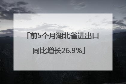 前5个月湖北省进出口同比增长26.9%