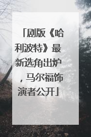 剧版《哈利波特》最新选角出炉，马尔福饰演者公开