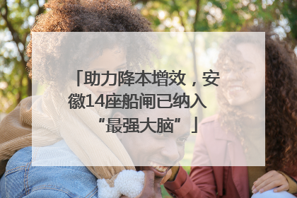 助力降本增效，安徽14座船闸已纳入“最强大脑”