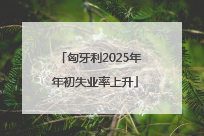 匈牙利2025年年初失业率上升