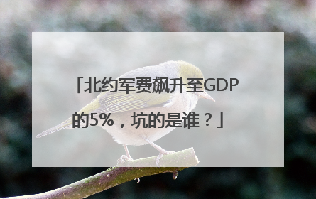 北约军费飙升至GDP的5%，坑的是谁？