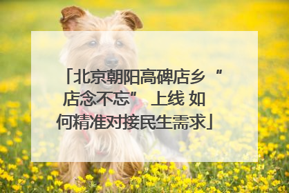 北京朝阳高碑店乡“店念不忘” 上线 如何精准对接民生需求