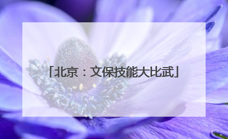 北京：文保技能大比武
