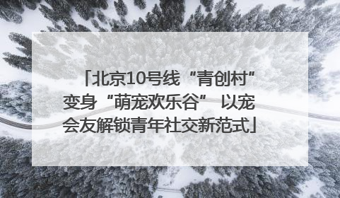 北京10号线“青创村”变身“萌宠欢乐谷” 以宠会友解锁青年社交新范式