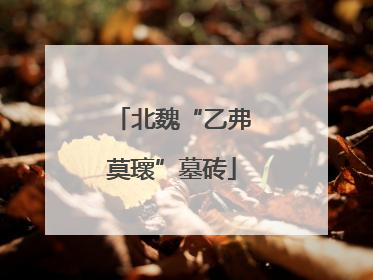 北魏“乙弗莫瓌”墓砖