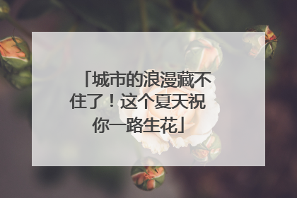 城市的浪漫藏不住了！这个夏天祝你一路生花