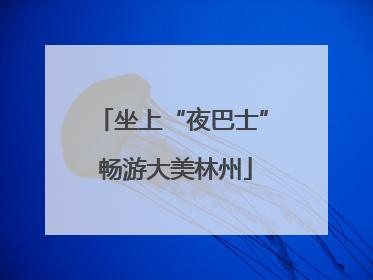 坐上“夜巴士” 畅游大美林州