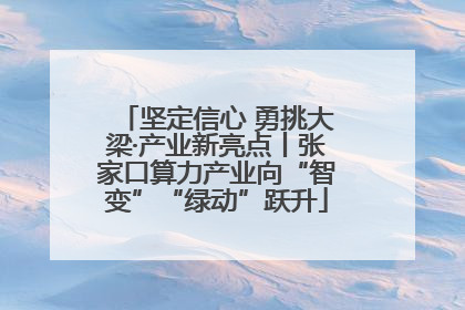 坚定信心 勇挑大梁·产业新亮点丨张家口算力产业向“智变”“绿动”跃升