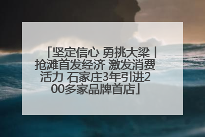 坚定信心 勇挑大梁丨抢滩首发经济 激发消费活力 石家庄3年引进200多家品牌首店