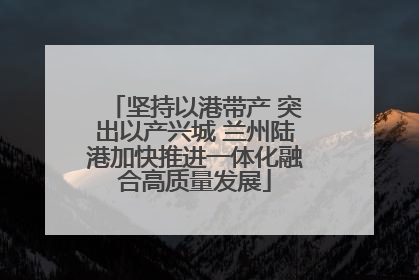 坚持以港带产 突出以产兴城 兰州陆港加快推进一体化融合高质量发展