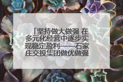 坚持做大做强 在多元化经营中逐步实现稳定盈利——石家庄交投集团做优做强典型报道之三