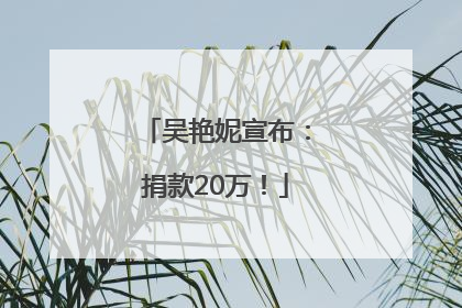 吴艳妮宣布：捐款20万！