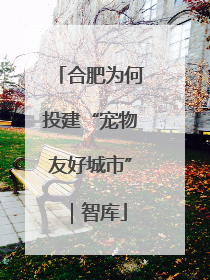 合肥为何投建“宠物友好城市”｜智库