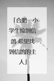合肥一小学生捡到信鸽 希望找到信鸽的主人