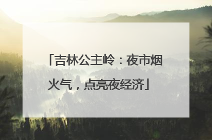 吉林公主岭：夜市烟火气，点亮夜经济