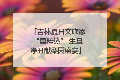 吉林夏日文旅添“国粹热” 生旦净丑献梨园盛宴