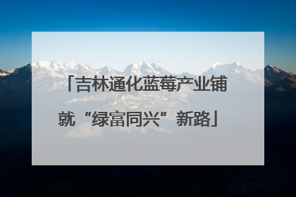 吉林通化蓝莓产业铺就“绿富同兴”新路