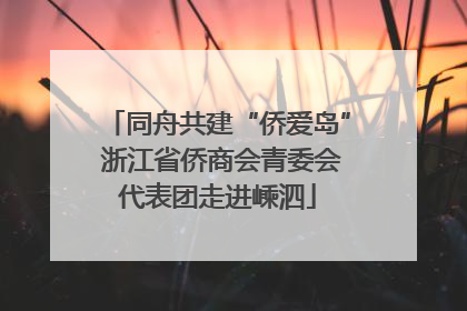 同舟共建“侨爱岛” 浙江省侨商会青委会代表团走进嵊泗