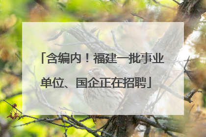 含编内！福建一批事业单位、国企正在招聘