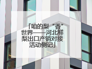 咱的梨“香”世界——河北鲜梨出口产销对接活动侧记