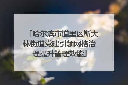 哈尔滨市道里区斯大林街道党建引领网格治理提升管理效能