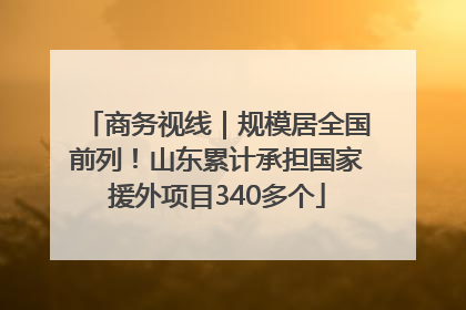 商务视线｜规模居全国前列！山东累计承担国家援外项目340多个