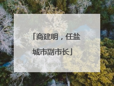 商建明，任盐城市副市长