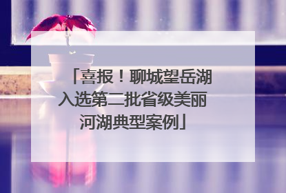 喜报！聊城望岳湖入选第二批省级美丽河湖典型案例