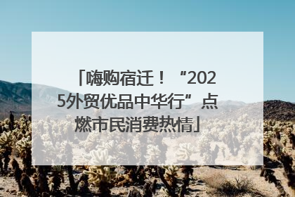 嗨购宿迁！“2025外贸优品中华行”点燃市民消费热情