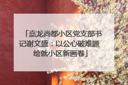 嘉龙尚都小区党支部书记谢文盛：以公心破难题 绘就小区新画卷