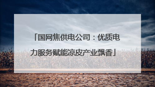国网焦供电公司：优质电力服务赋能凉皮产业飘香