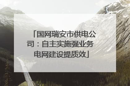 国网瑞安市供电公司：自主实施强业务 电网建设提质效
