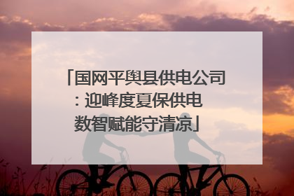 国网平舆县供电公司：迎峰度夏保供电  数智赋能守清凉