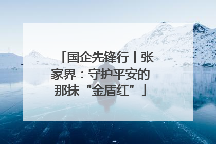 国企先锋行丨张家界：守护平安的那抹“金盾红”