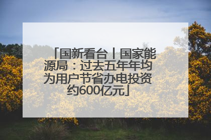 国新看台丨国家能源局：过去五年年均为用户节省办电投资约600亿元