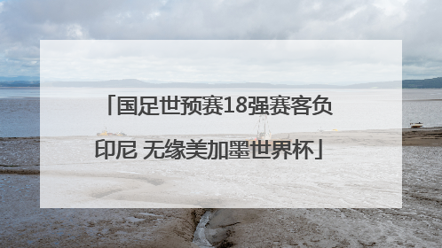 国足世预赛18强赛客负印尼 无缘美加墨世界杯