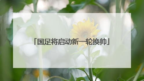 国足将启动新一轮换帅