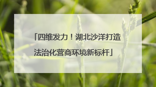 四维发力！湖北沙洋打造法治化营商环境新标杆