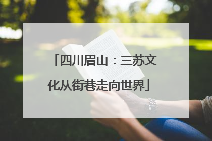 四川眉山：三苏文化从街巷走向世界
