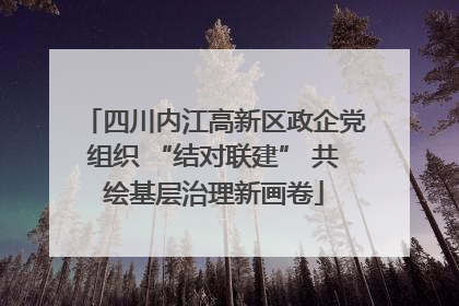 四川内江高新区政企党组织 “结对联建” 共绘基层治理新画卷