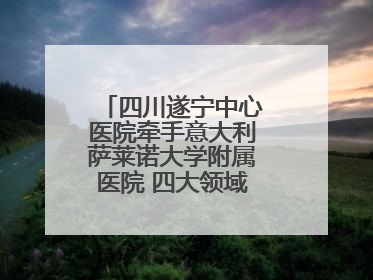 四川遂宁中心医院牵手意大利萨莱诺大学附属医院 四大领域开展全面合作