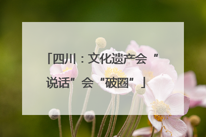 四川：文化遗产会“说话”会“破圈”