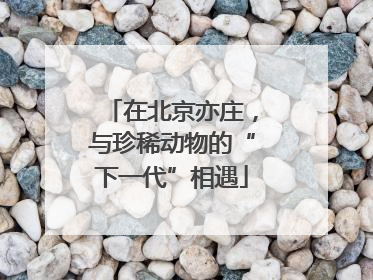 在北京亦庄，与珍稀动物的“下一代”相遇