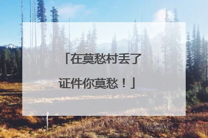 在莫愁村丢了证件你莫愁！